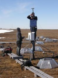 COLLABORATIVE RESEARCH: USING THE ITEX-AON NETWORK TO DOCUMENT AND UNDERSTAND TERRESTRIAL ECOSYSTEM CHANGE IN THE NEW ARCTIC