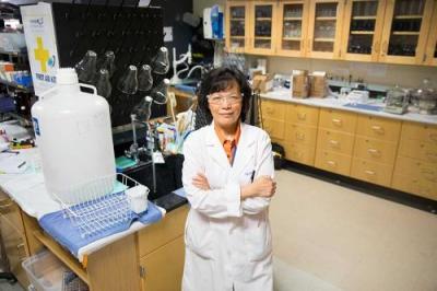 UTEP Faculty Member Contributes to Advances in Cancer Detection