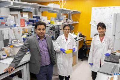 UTEP Researchers Develop Tools to Monitor Cardiac Damage Induced by Anticancer Drugs